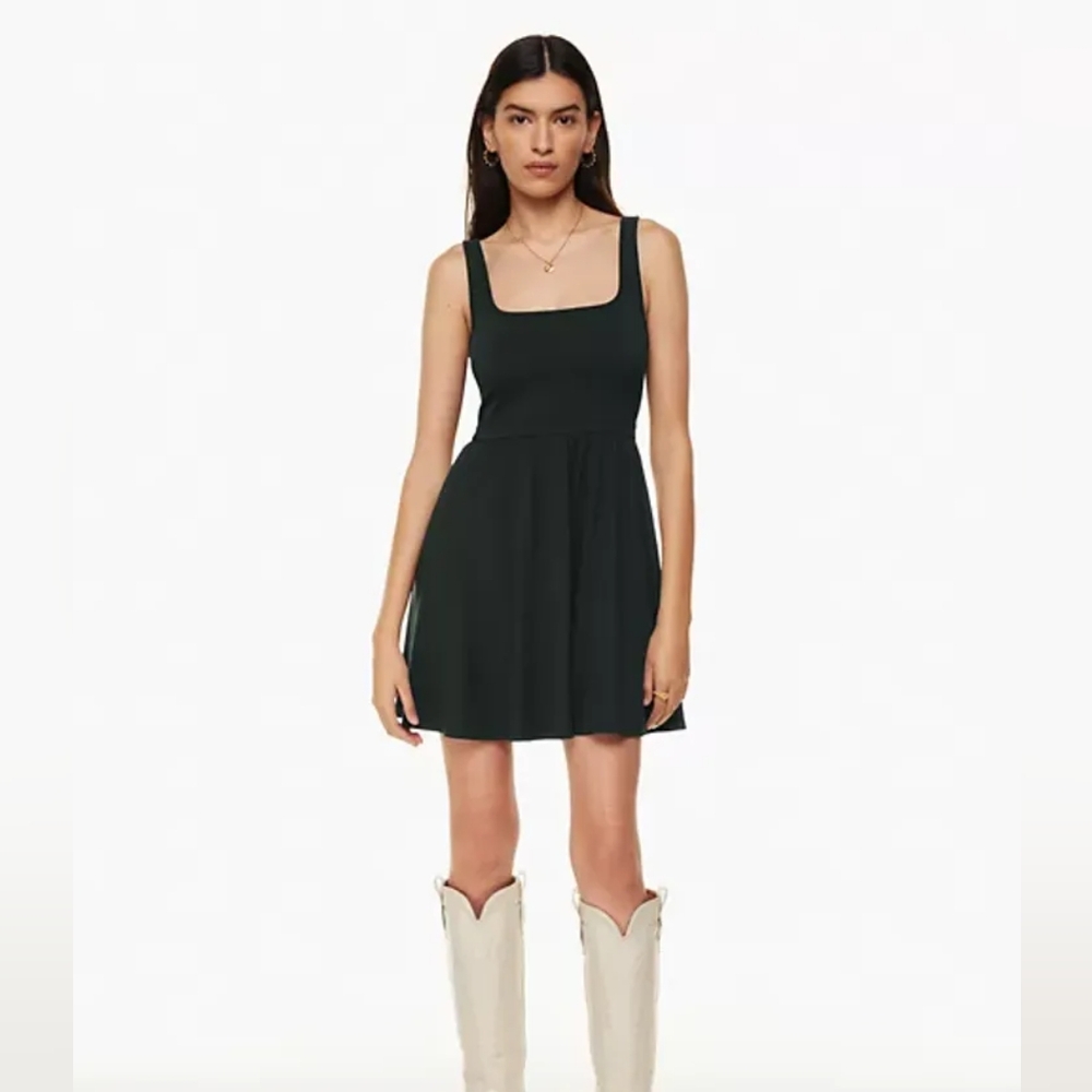 Aritzia Wilfred Market Mini Dress